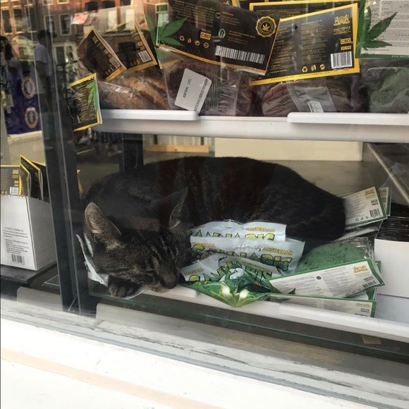 Meet your Posher, Emily - Picture 1 of 1